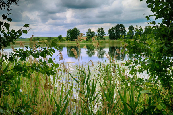 リードの後ろにある湖の水面に暗い嵐の雲と反射 - 写真・画像