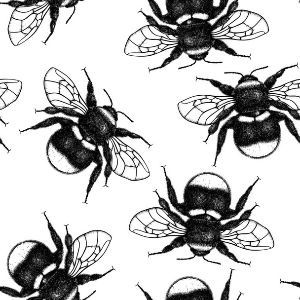Monochrome seamless pattern with Bumblebee on white background  - Vector, Image