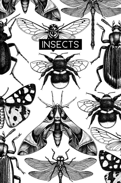 Hand drawn collection of different kinds of insects - Vektor, kép