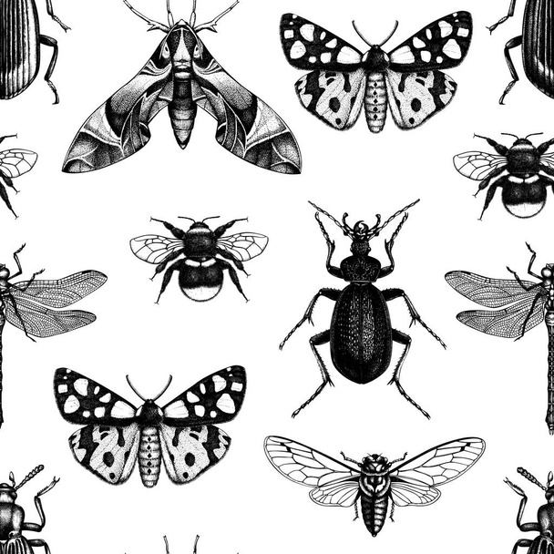 Monochrome hand drawn pattern with different kinds of insects - Vector, imagen