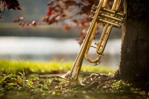 Осенний джазовый инструмент стоит в одиночестве на природе - Фото, изображение
