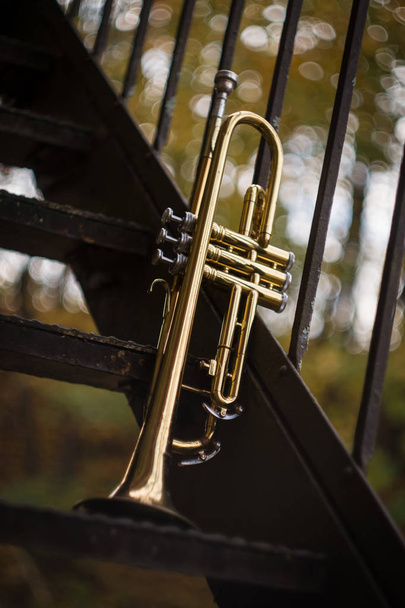 trompeta instrumento de jazz de otoño de pie solo en la naturaleza - Foto, Imagen