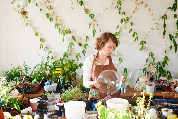 female florist holding round shaped glass mini terrarium and choosing plants  - Photo, image