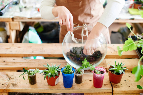 florist preparing soil for plants in glass pot, concept of mini terrarium  - Fotó, kép