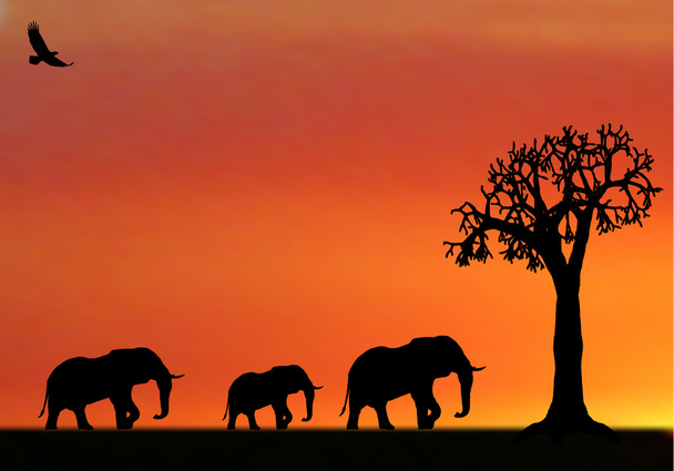 illustraion van olifanten in zonsondergang in Afrika - Vector, afbeelding