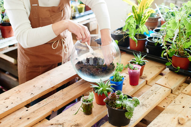 florist preparing soil for plants in glass pot, concept of mini terrarium  - Fotó, kép