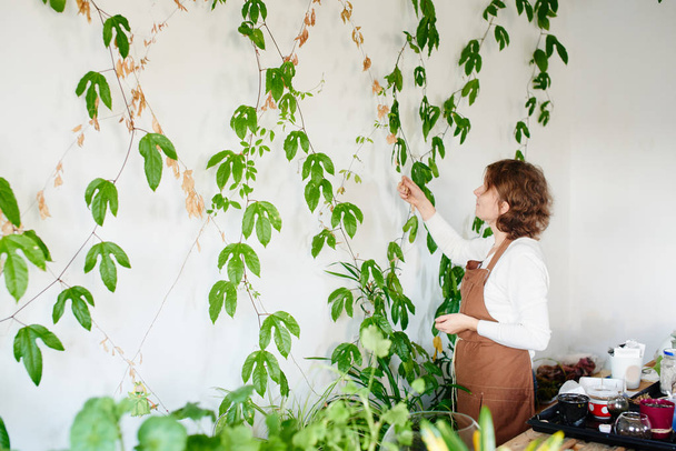 woman nerd florist caring for plants on wall, female hobby concept  - Foto, imagen