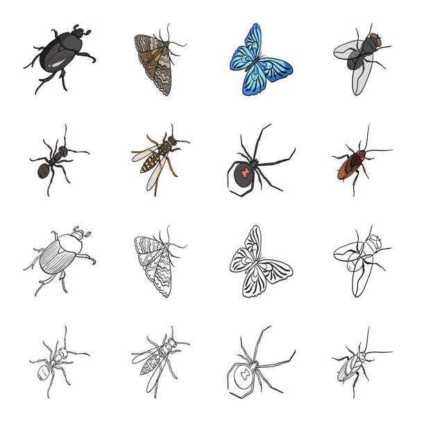 昆虫節足動物、クモ、ゴキブリ、osa。昆虫は、アウトライン スタイル ベクトル シンボル等尺性イラスト web 漫画でコレクションのアイコンを設定します。. - ベクター画像