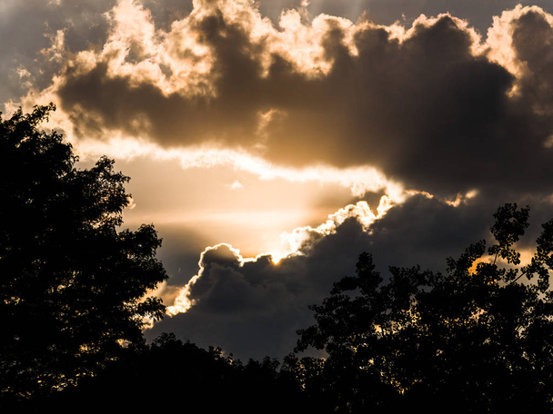 Bella fotografia al tramonto del sole dorato che scompare dietro grandi nuvole bianche morbide e le illumina da dietro appena sopra l'orizzonte con le silhouette degli alberi sotto
. - Foto, immagini