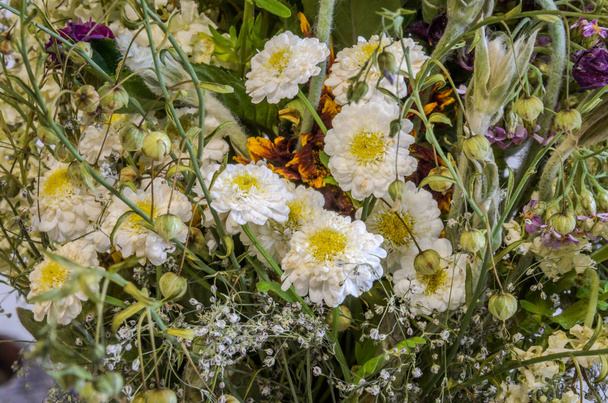 Bouquet of multicolored field flowers - 写真・画像