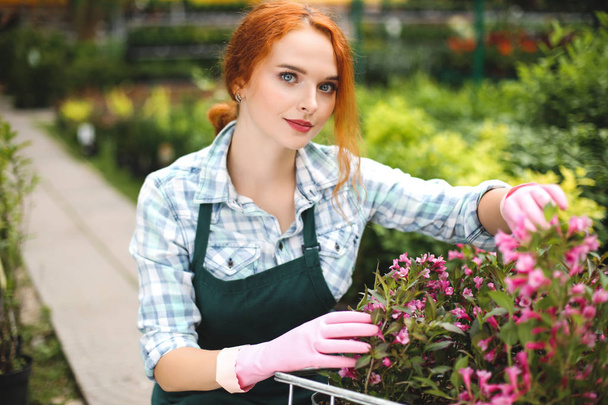 Pretty florist in apron and pink gloves dreamily looking in camera while working with flowers in greenhouse - Photo, Image