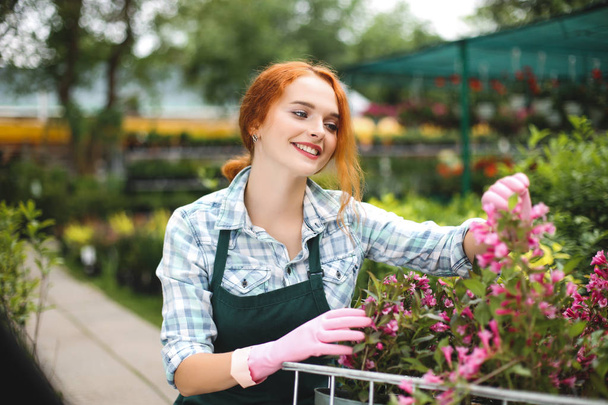 幸せの温室で花で作業しながらよそ見エプロン、ピンクの手袋の陽気な花屋 - 写真・画像
