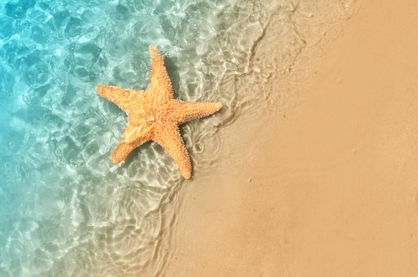 Starfish on the summer beach in sea water. Summer background. Summer time. - Valokuva, kuva
