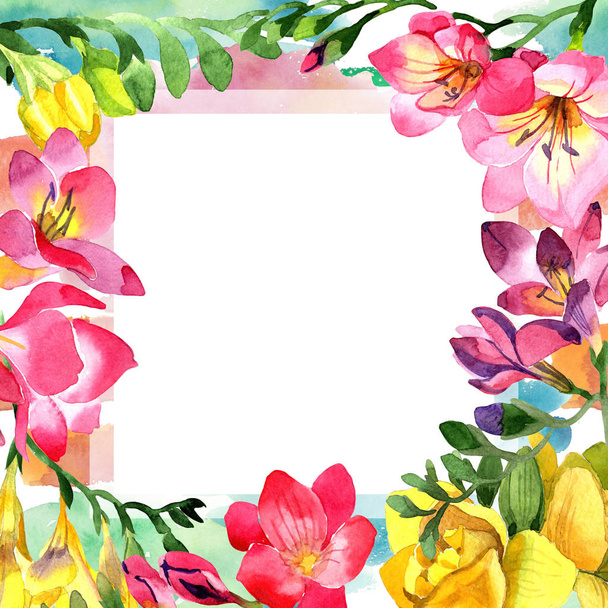 カラフルなフリージア。花植物の花。フレーム枠飾りスクエア. - 写真・画像
