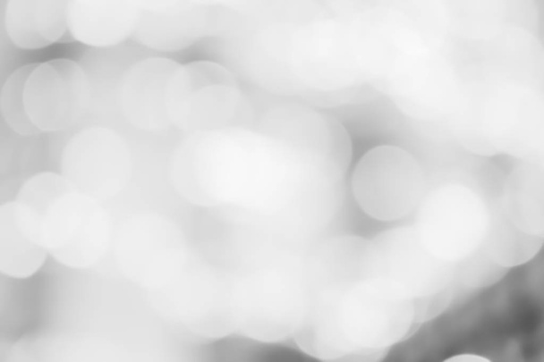 white gray blurred abstract backdrop. soft grey with light bokeh background. - Zdjęcie, obraz