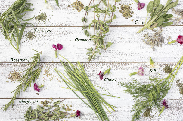 Естрагон, розмарин, зелену цибулю, мудрець, майоран і кріп трави на сільському стільницею на харчову квіти - Фото, зображення