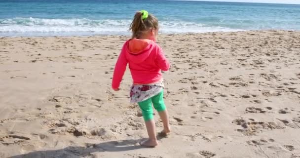 niña de cuatro años que busca, recoge y recoge conchas marinas en la playa de arena, junto a su madre o niñera, en Bolonia Beach, Cádiz, Andalucía, España, Europa
. - Metraje, vídeo