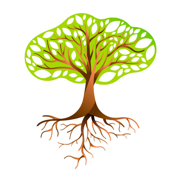 Baum aus grünen Blättern mit Ästen und Wurzeln. Naturkonzept, Umwelthilfe oder Bodenpflege. eps10-Vektor. - Vektor, Bild