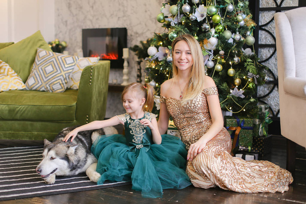 Jeune femme avec fille litle et malamute couché près de l'arbre de Noël
. - Photo, image