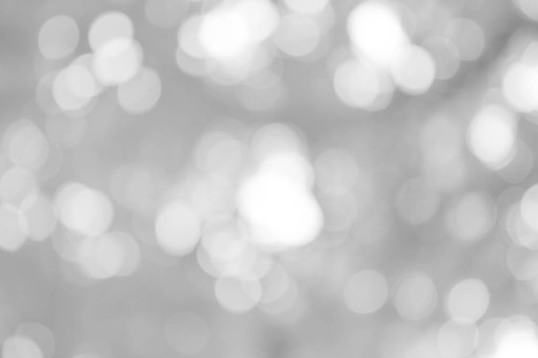 white blurred backdrop of nature, circle white wallpaper, gray bokeh background - Zdjęcie, obraz