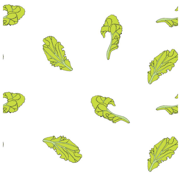 Blattsalat nahtlos Hand gezeichnet grüne Muster Design-Elemente Lager Vektor Illustration für Web, für den Druck - Vektor, Bild