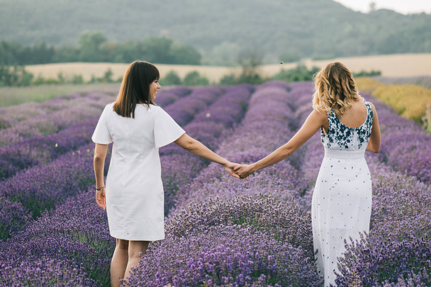 Beautiful sisters walking at lavender field, holding hands. - Photo, Image