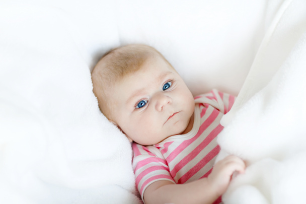 Portrait de bébé nouveau-né adorable mignon - Photo, image