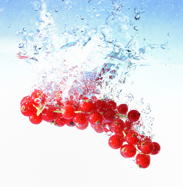 grosellas rojas en el agua
 - Foto, imagen