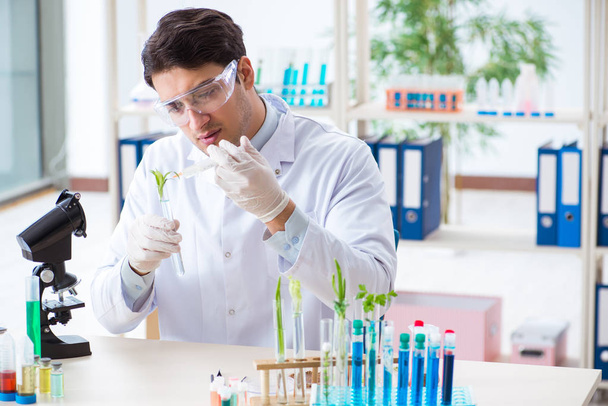 Male biochemist working in the lab on plants - Fotoğraf, Görsel