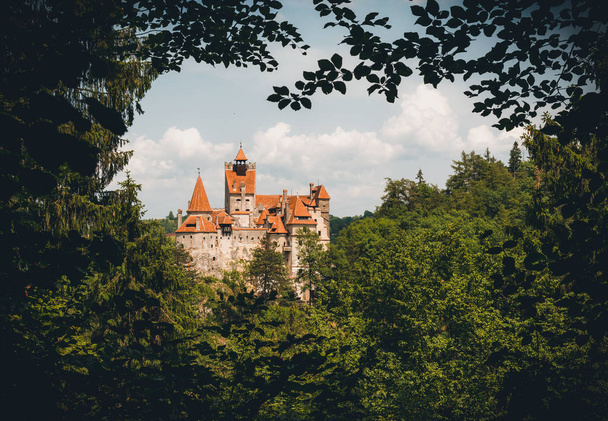 Bran Castle onder de bossen van de Karpaten. Woonplaats van Dracula in Transsylvanië - Foto, afbeelding