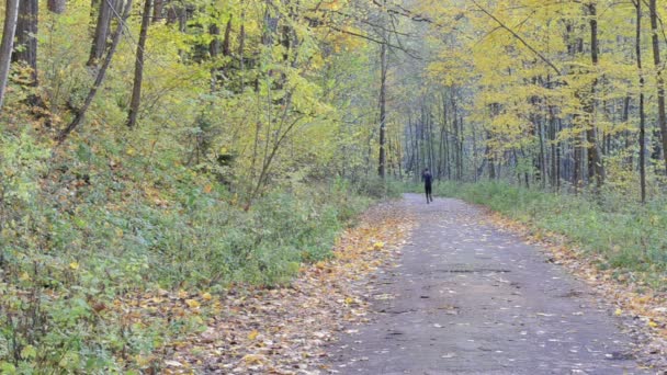 man sportsman athlete run beautiful autumn park road healthy - Footage, Video