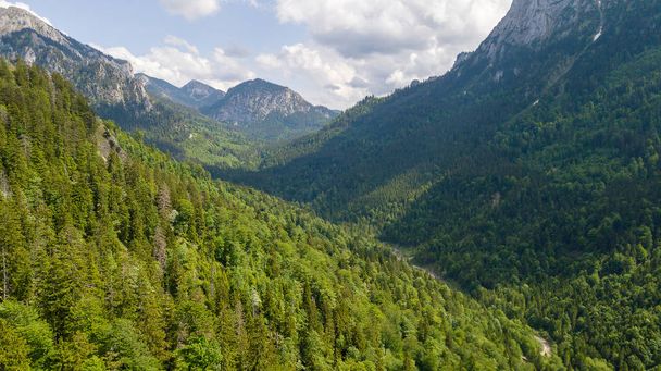 View from a height to a mountain range with coniferous trees. - Fotoğraf, Görsel
