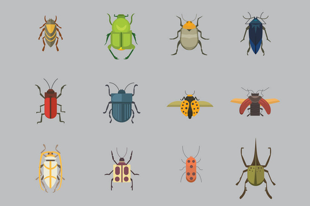 昆虫フラット スタイル ベクトル デザイン アイコンのセットです。コレクション自然のカブトムシ、動物漫画イラスト。バグ アイコン野生動物概念 - ベクター画像