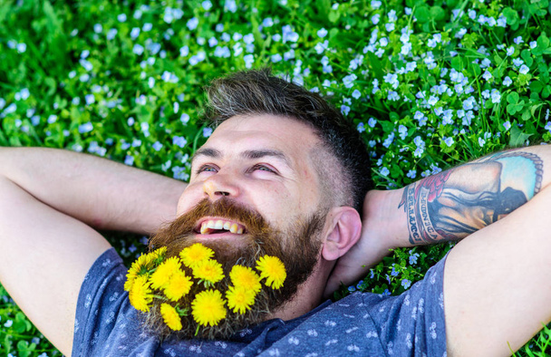 Freedom concept. Guy with dandelions in beard relaxing, top view. Man with beard on smiling face put hands behind head. Bearded man with dandelion flowers in beard lay on meadow, grass background - Φωτογραφία, εικόνα