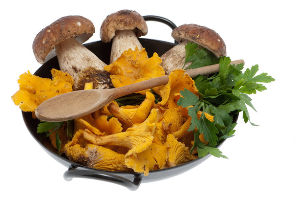 Mushrooms in frying pan, boletes and chanterelle for cooking - Photo, Image