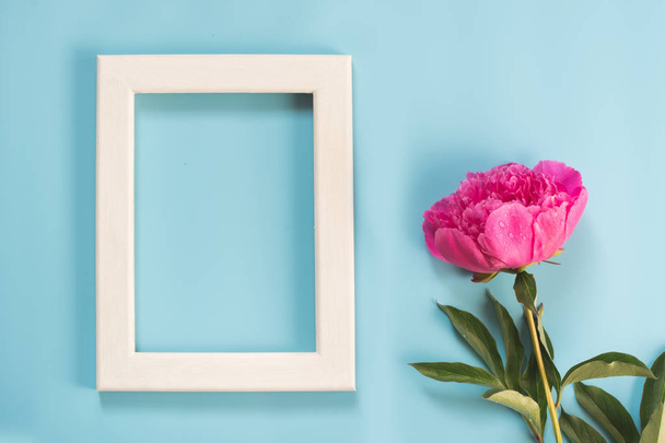 Beautiful pink peony flower and white frame for text on punchy pastel blue background. Copy space. Top view. Flat lay. - Фото, зображення