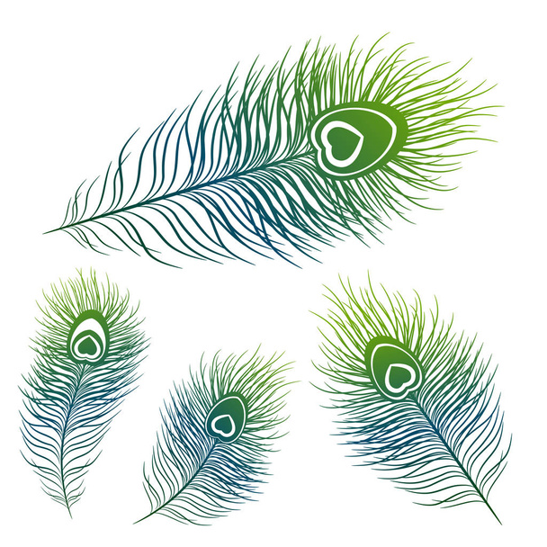 Peacock feather instellen in verschillende vormen - Vector, afbeelding