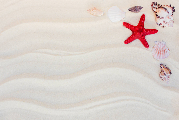 貝殻とヒトデの浜の砂の平面図です。夏の背景概念。ビンテージ トーン.  - 写真・画像