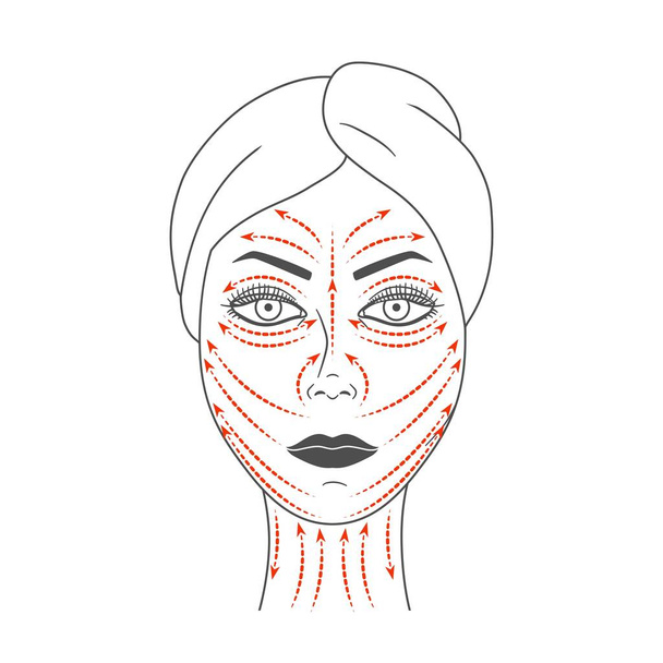 Rappresentazione schematica delle linee di massaggio facciale
. - Vettoriali, immagini