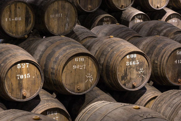 Row of wooden porto wine barrels in wine cellar Porto, Portugal. - Fotó, kép