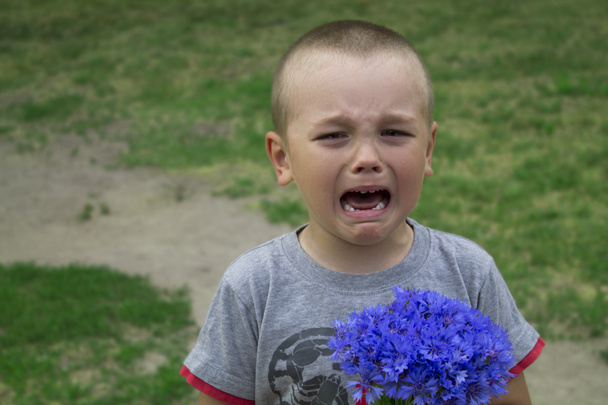 boy crying while holding a bouquet of cornflowers against the background of nature - Photo, Image