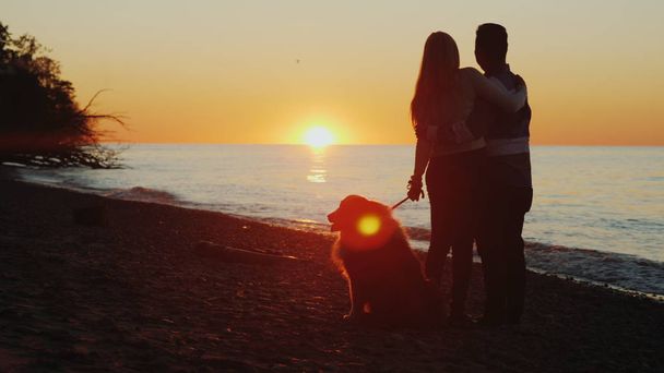 Un jeune couple avec un sanglot admirera le magnifique coucher de soleil sur le lac Ontario
. - Photo, image