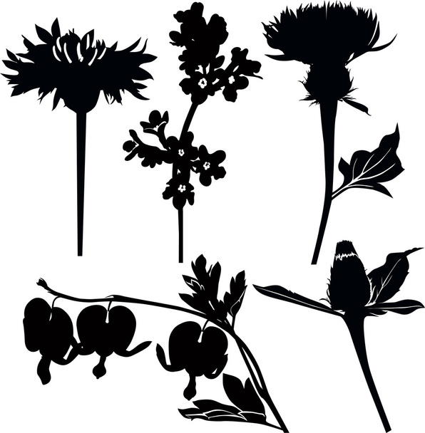 花のセット - ベクター画像