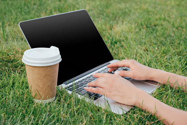 cropped shot of freelancer typing on laptop with blank screen on green lawn in park - Fotó, kép