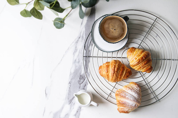 Homemade croissant with sugar powder on cooling rack. Breakfast with cup of coffee, jug of milk. Decorated by eucalyptus branch over white marble background. Flat lay, space. - Foto, Imagem