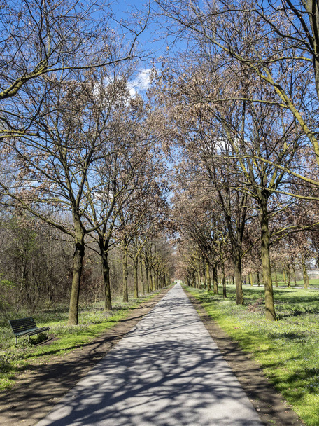 Milán, Lombardie, Itálie: parku známého jako Parco Nord v jarní - Fotografie, Obrázek