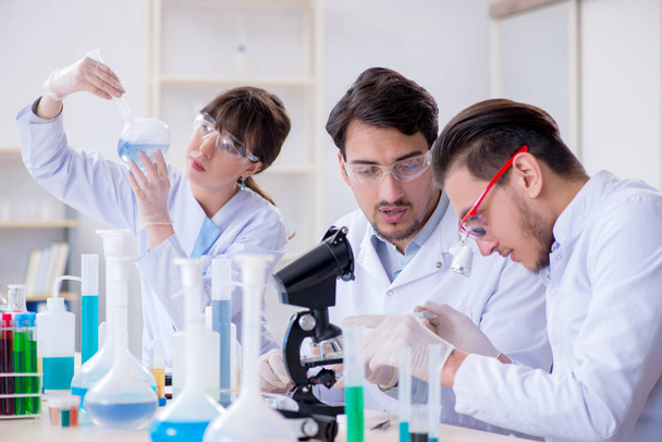 Team of chemists working in the lab - Photo, Image