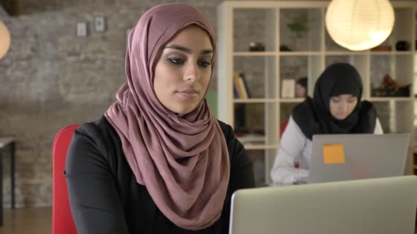 Portrait of young muslim women working, serious, two womens in hijab sitting and typing on laptop in modern office, concentrated - Metraje, vídeo