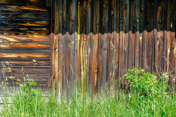 Abandoned ruins of old wooden building in latvia countryside in summer with foliage - Photo, Image
