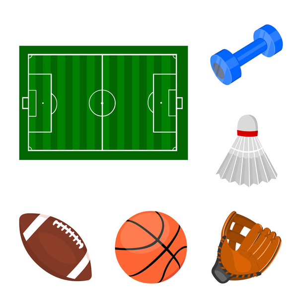 Diferentes tipos de iconos de dibujos animados deportivos en la colección de conjuntos para el diseño. Equipo deportivo vector símbolo stock web ilustración
. - Vector, Imagen